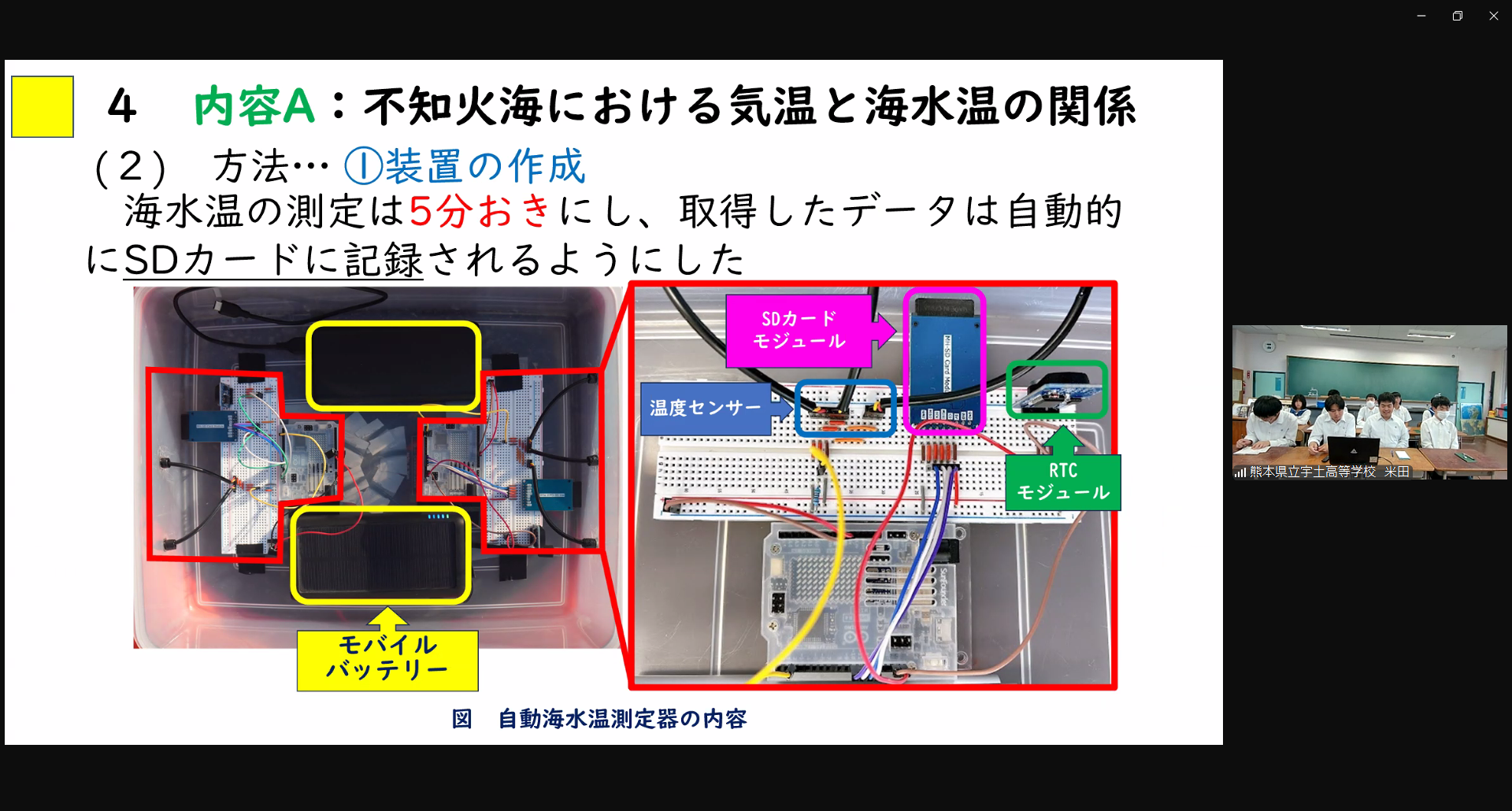 八朔　.png